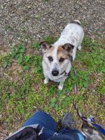 ノーヴ＊岡山譲渡センター