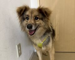 ニョロトノ🌷福山譲渡センター